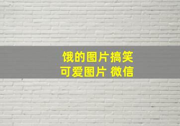 饿的图片搞笑可爱图片 微信